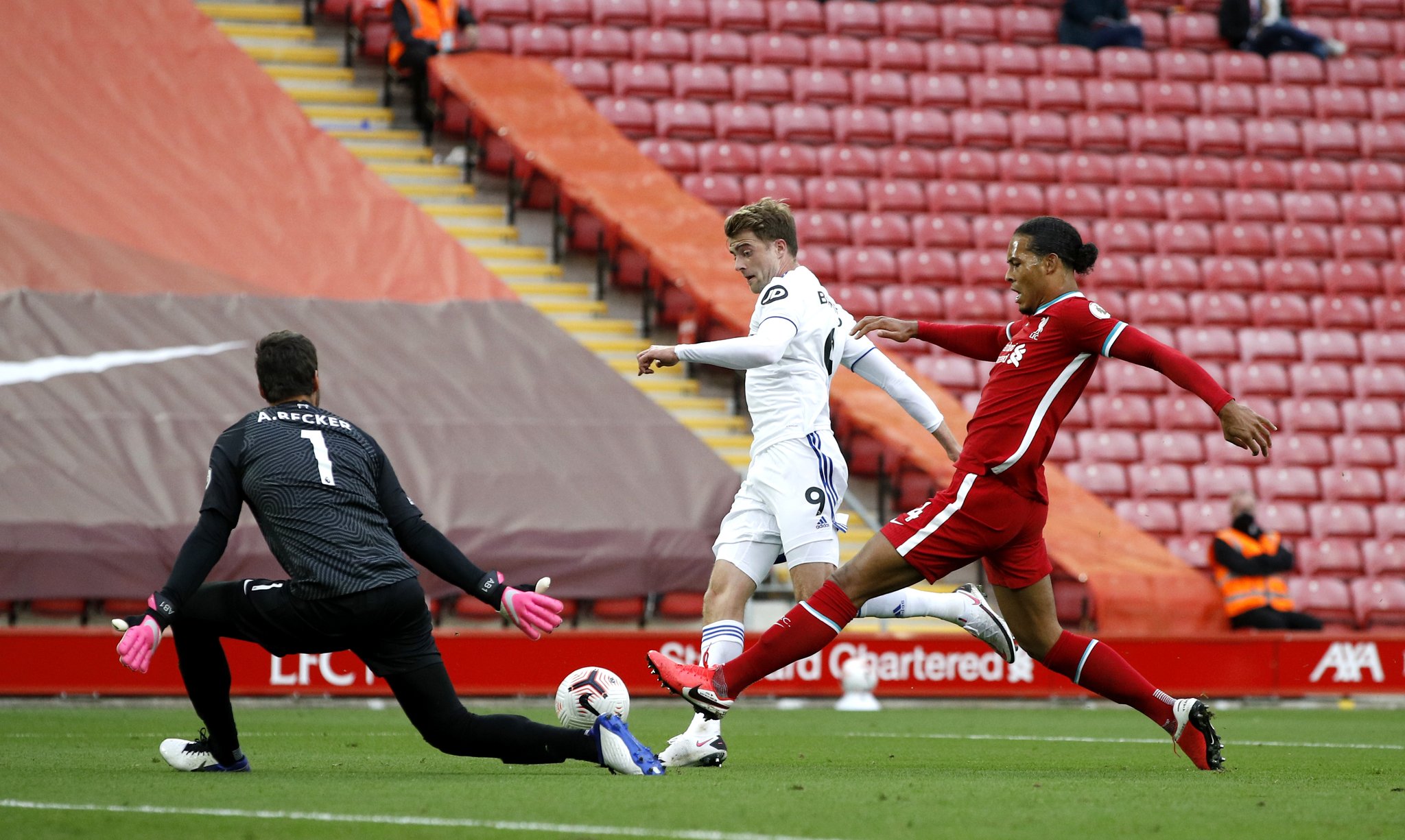 地将见证年 地将见证年