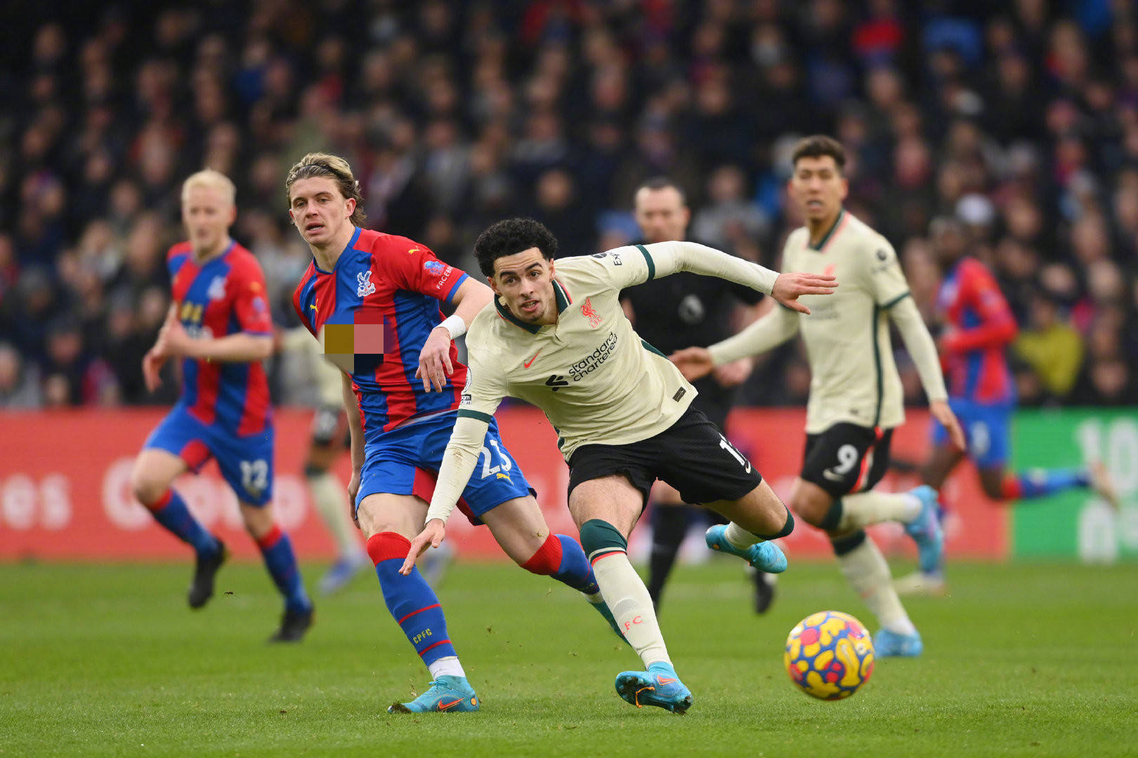 这一群体性 这一群体性